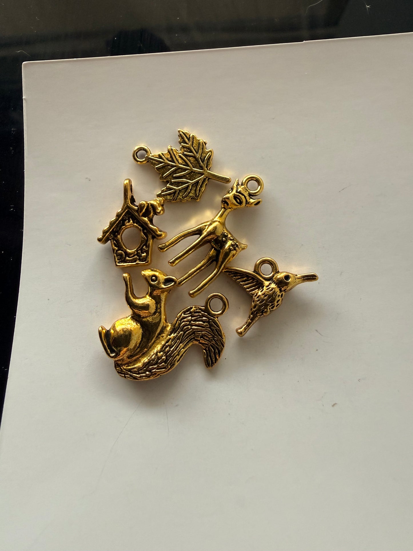 Nature Charms 🐿️